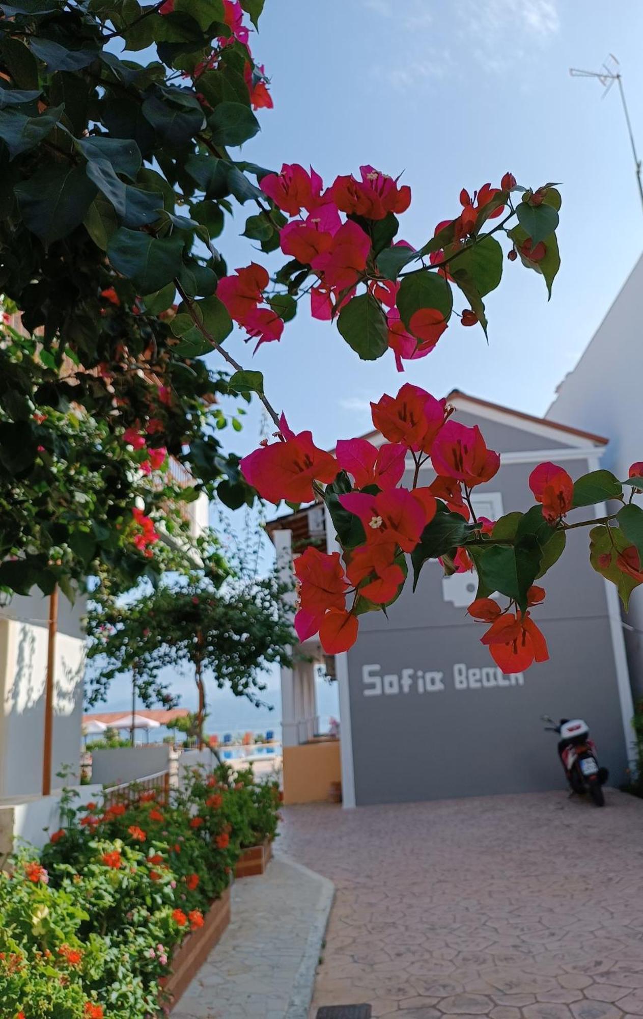 Sofia Beach Apartments Kávos Eksteriør bilde