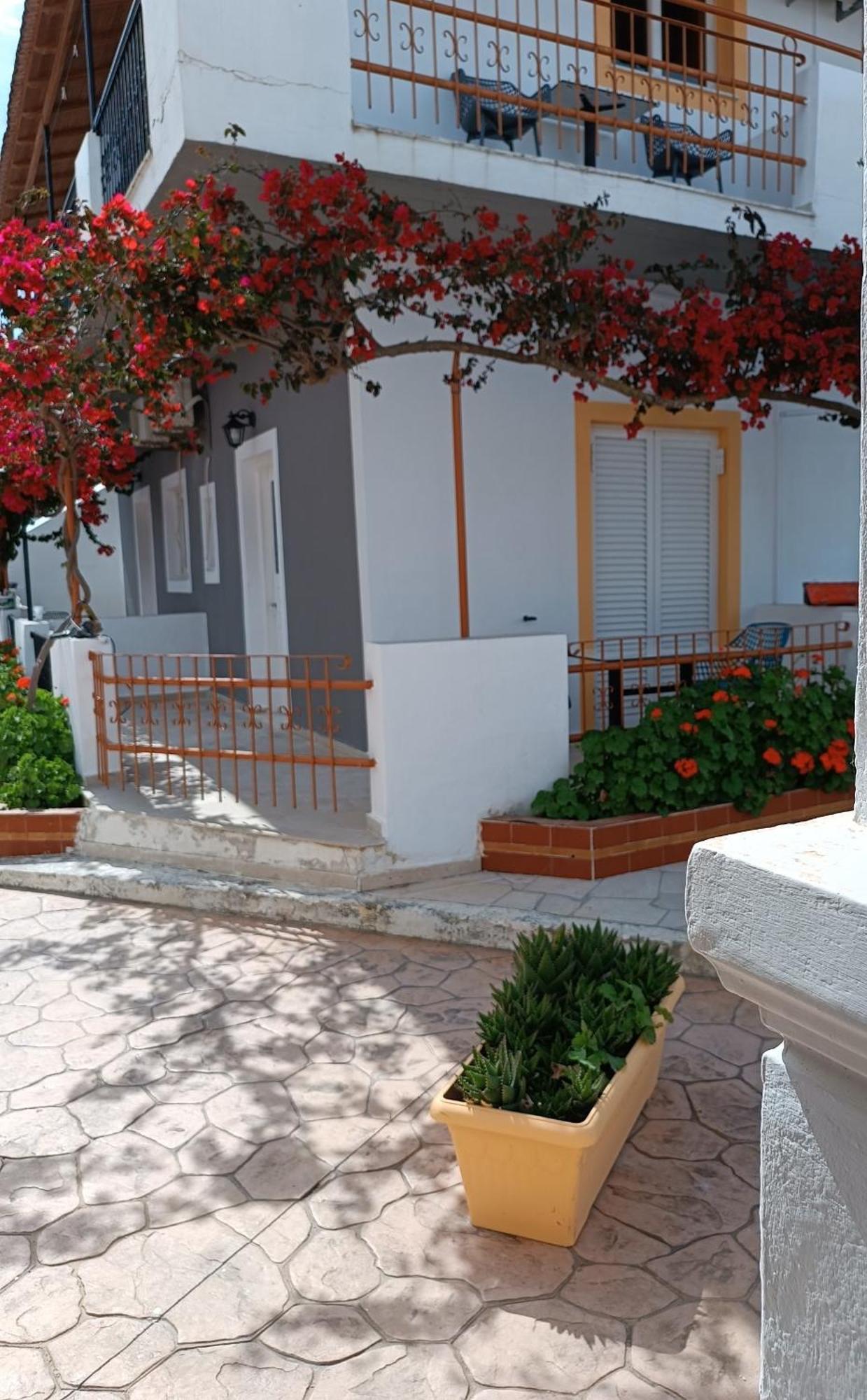 Sofia Beach Apartments Kávos Eksteriør bilde